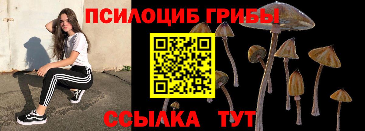 Псилоцибиновые грибы Psilocybe  Псилоцибиновые грибы Magic Shrooms  Печора  Вход с VPN 